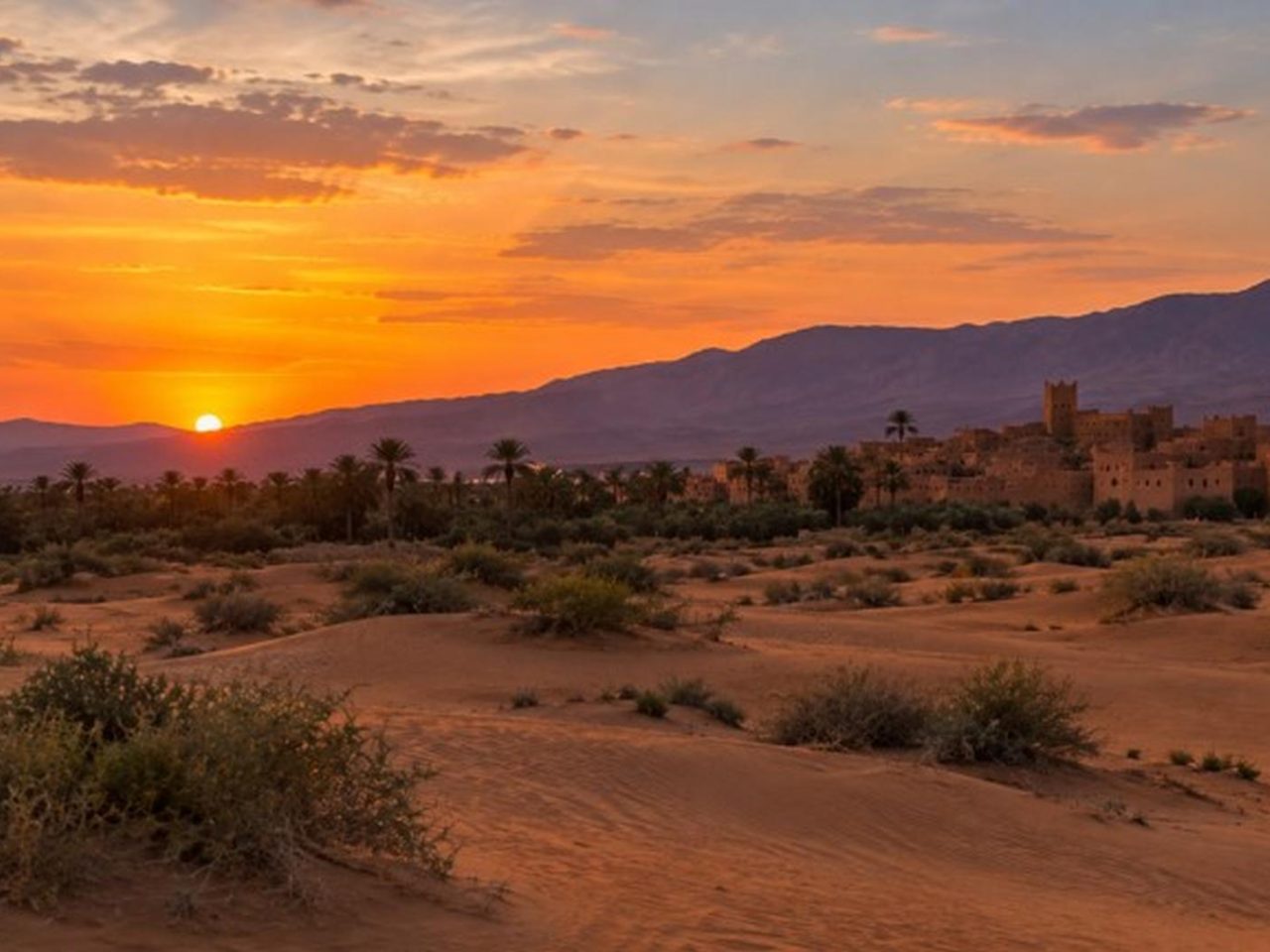 Petites dunes et végétation désertique aux abords de Zagora au crépuscule
