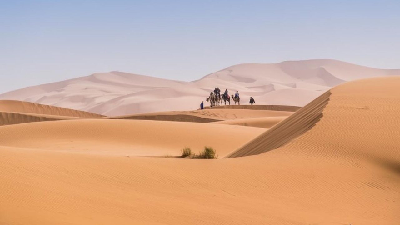 Caravane de dromadaires traversant les dunes orangées de l'Erg Chebbi au coucher du soleil près de Merzouga