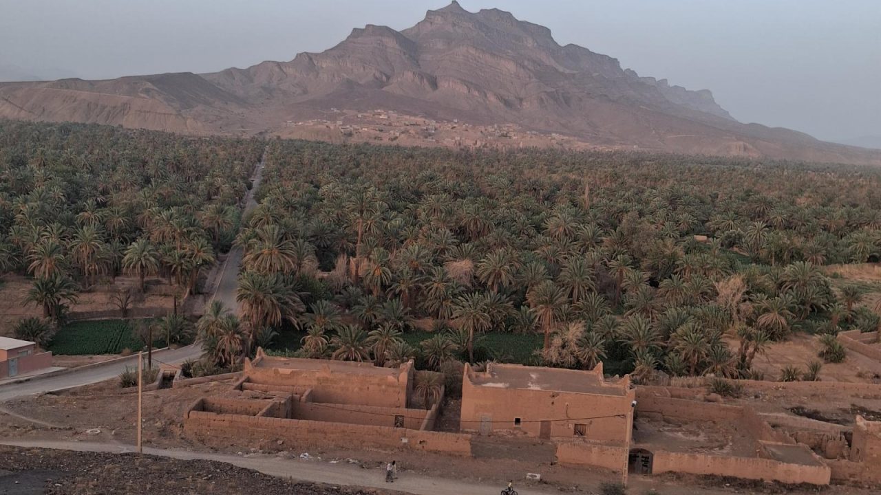 Palm groves of the Draa Valley stretching between red hills on the road to Zagora
