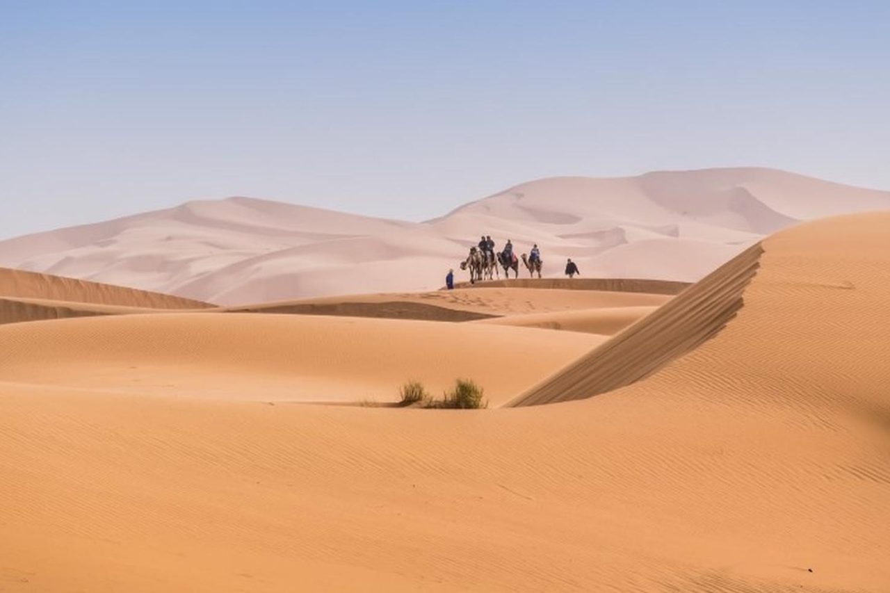 Camel caravan crossing the orange dunes of Erg Chebbi at sunset near Merzouga