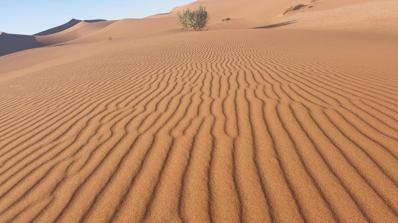 Crêtes sculptées par le vent des dunes de l'Erg Chebbi à Merzouga dans la lumière du matin
