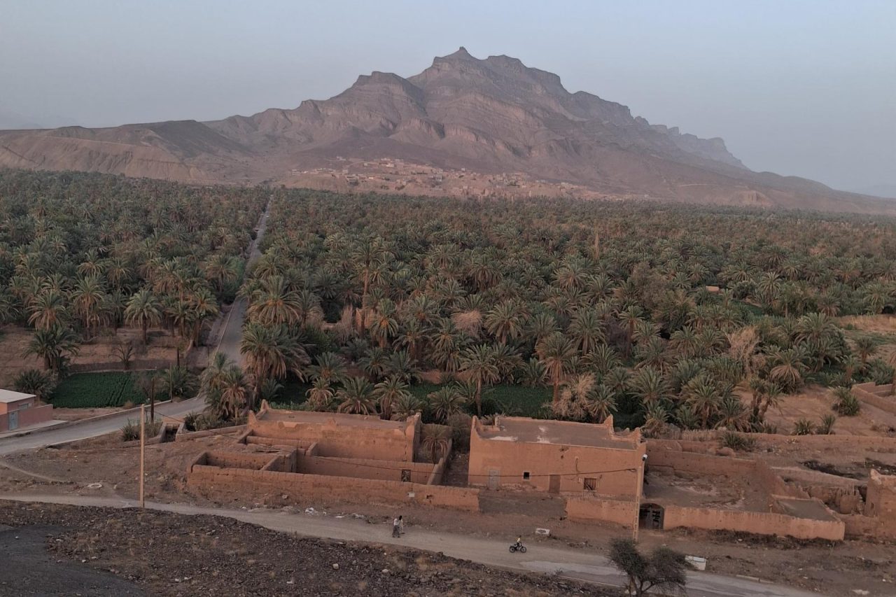 Palm groves of the Draa Valley stretching between red hills on the road to Zagora